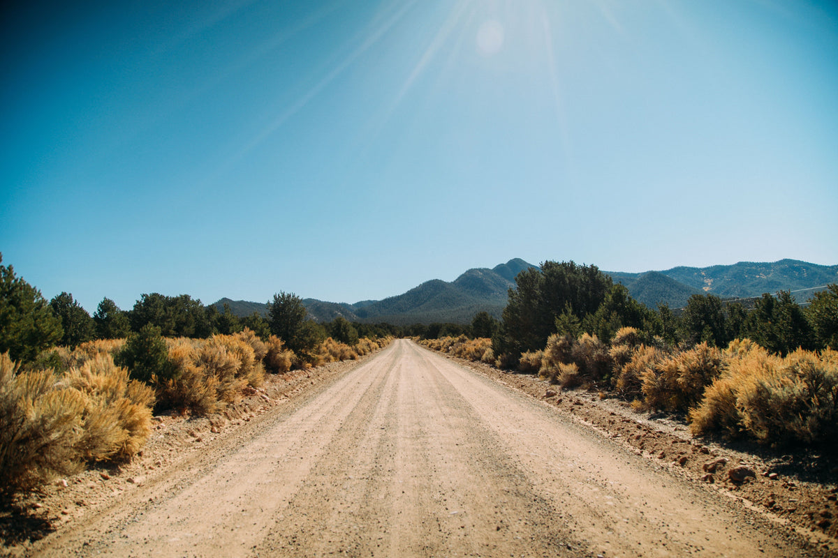 A photo of the sky, shrubbery and desert flora, and road in Taos, New Mexico.