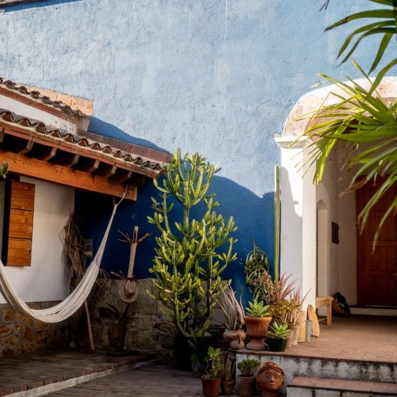 A photo of Pocoapoco's Oaxacan house, showing a cactus, blue wall, hammock, and arch entry way. 