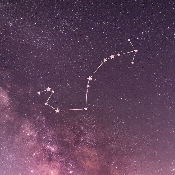 Scorpio Horoscope Style Guide