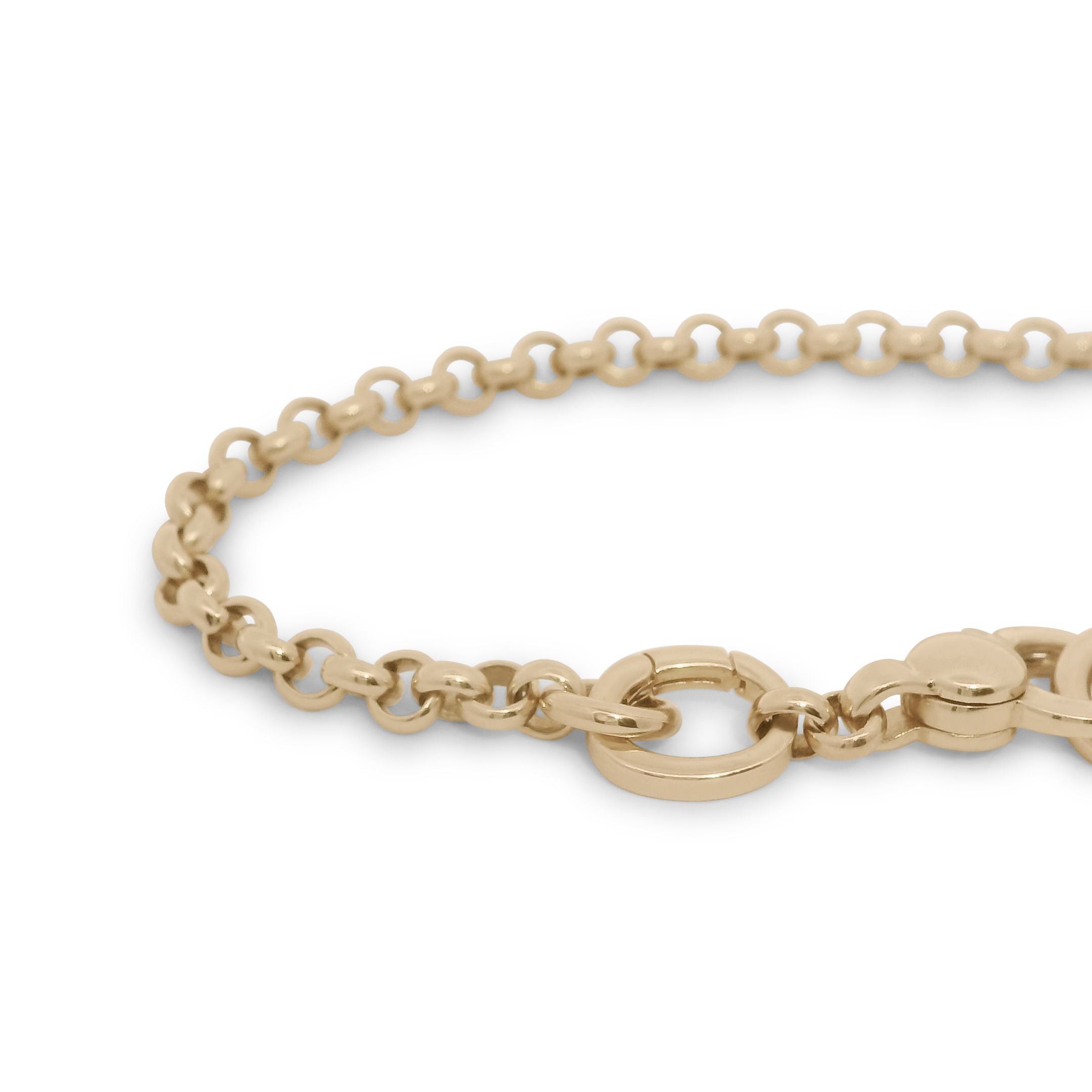 14kt yellow gold rolo chain against a white background