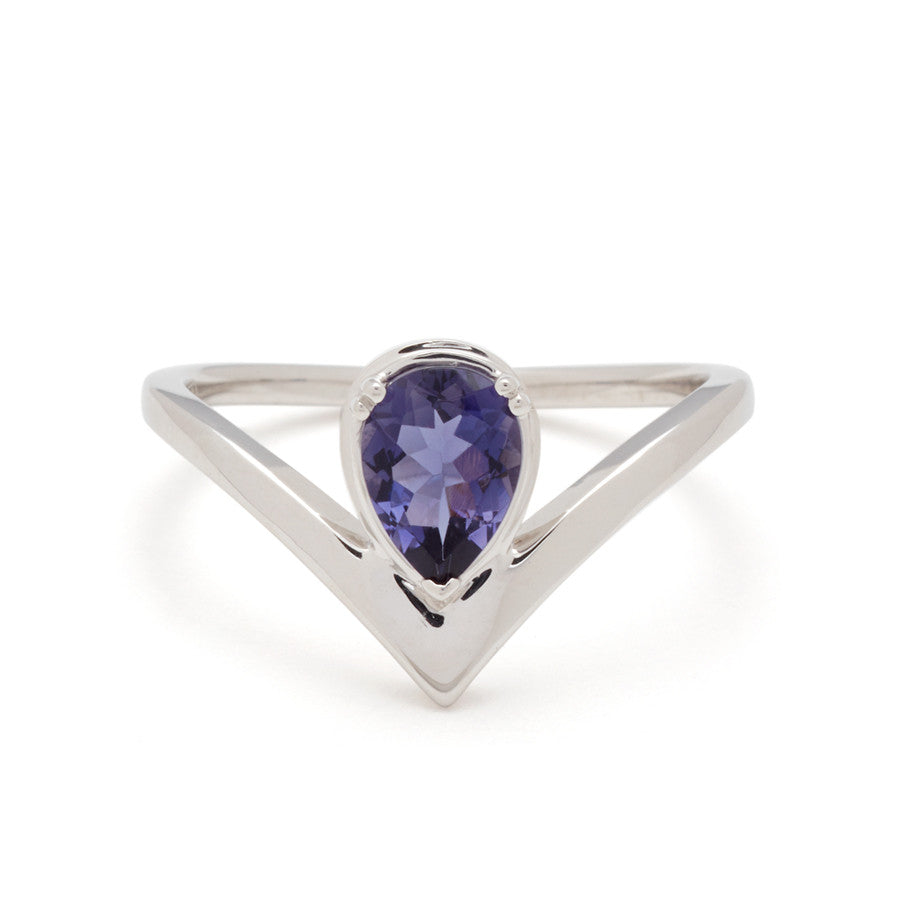 Celestine Orbit Ring - 14K Gold & Iolite